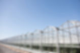 Greenhouses against blue sky