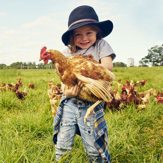 Best Livestock for Beginners (2026 Guide)