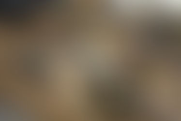 Secretary Rollins announces the creation of the USDA Office of Seafood