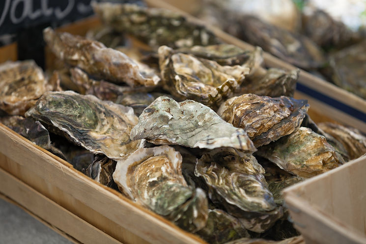 Fresh Oysters Display