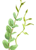 Detalle de hoja verde que evoca el alma, equilibrio y procesos de sanación emocional