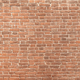 SURROUNDED BY WALLS
