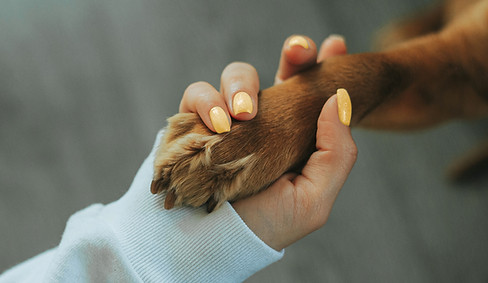 Holding Paw