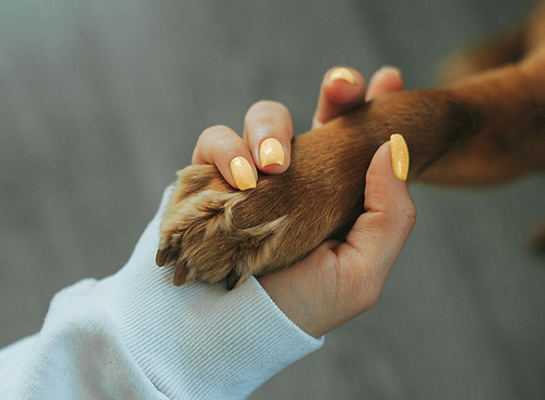 Holding Paw