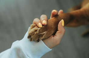 Holding Paw