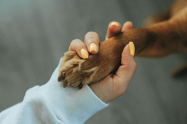 Holding Paw