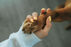 What to Do If You’re Unsure About Cremating Your Pet