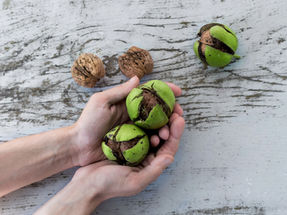 Fuis moi je te suis; Suis moi je te fuis!