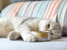 Advice for the Underconfident