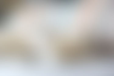 Kedilerde Kabızlık