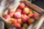 Werner Farms Fresh Peaches