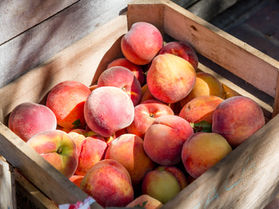 Colorado seasonal fruits: some of the best flavor profile around the country.