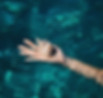 Seashell In Hand