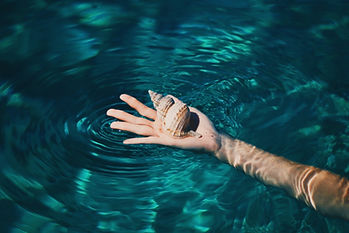 Seashell