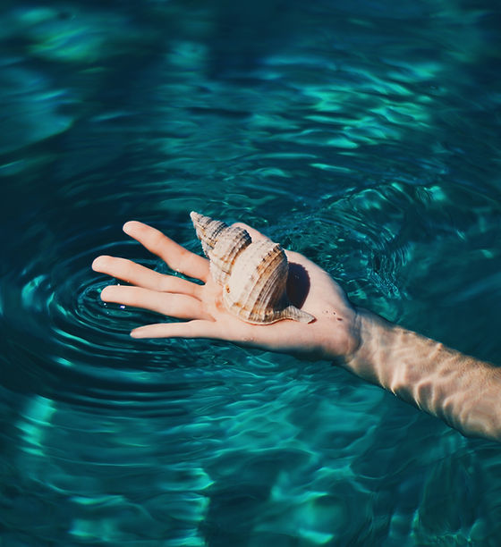 Coquillage dans la main