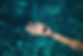 Seashell