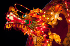 Year of the Horse Lunar New Year Family Potluck