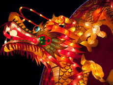 The ACTUAL NEWS: Wednesday, January 29th 2025 Recap