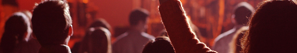 Vue du public du concert