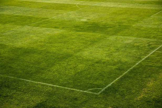 Soccer Field Lines