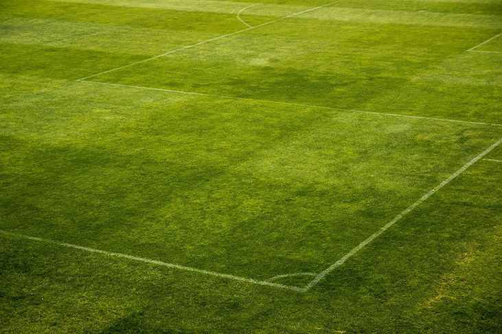 Soccer Field Lines
