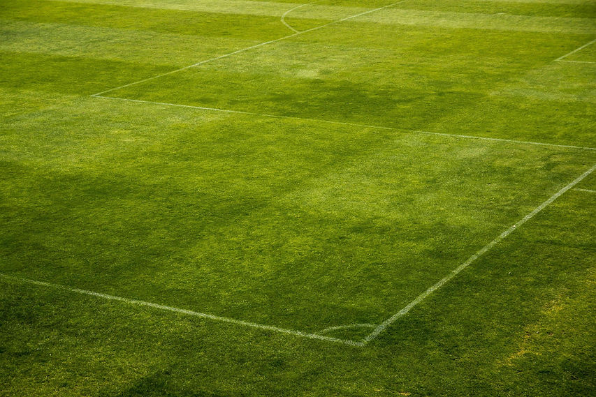 Linee del campo da calcio