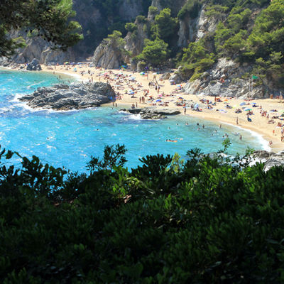 2023 – Convegno nazionale “Mare e salute”