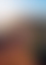 a estrada menos percorrida