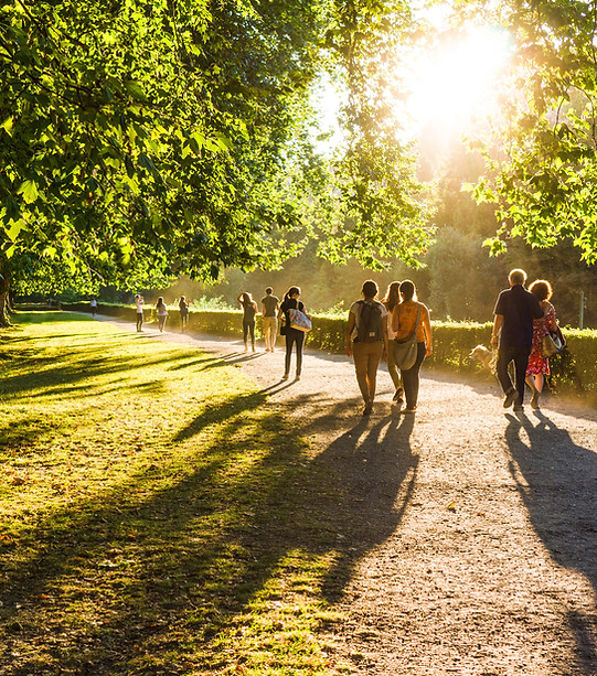 Park Walkway Scene