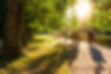 People in Park