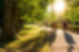 People in Park