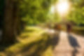 People in Park