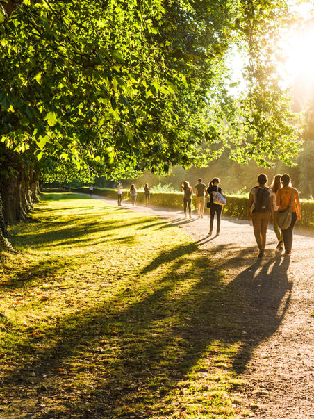 地域のお役立ち掲示板