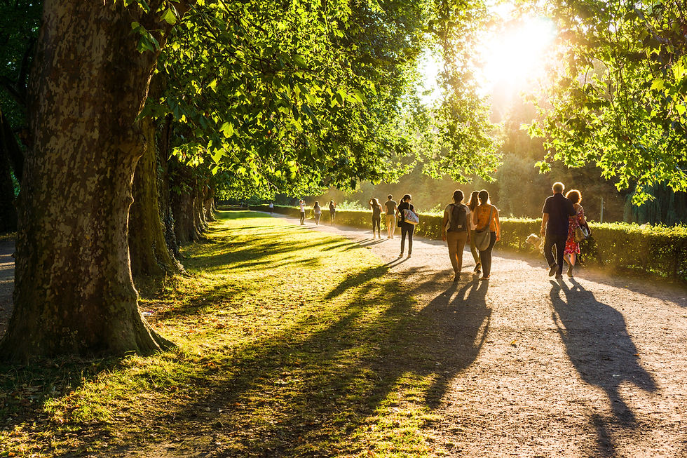 Park Walkway Scene