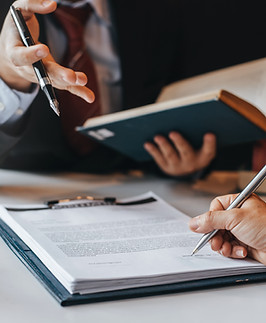 Legal Consultant