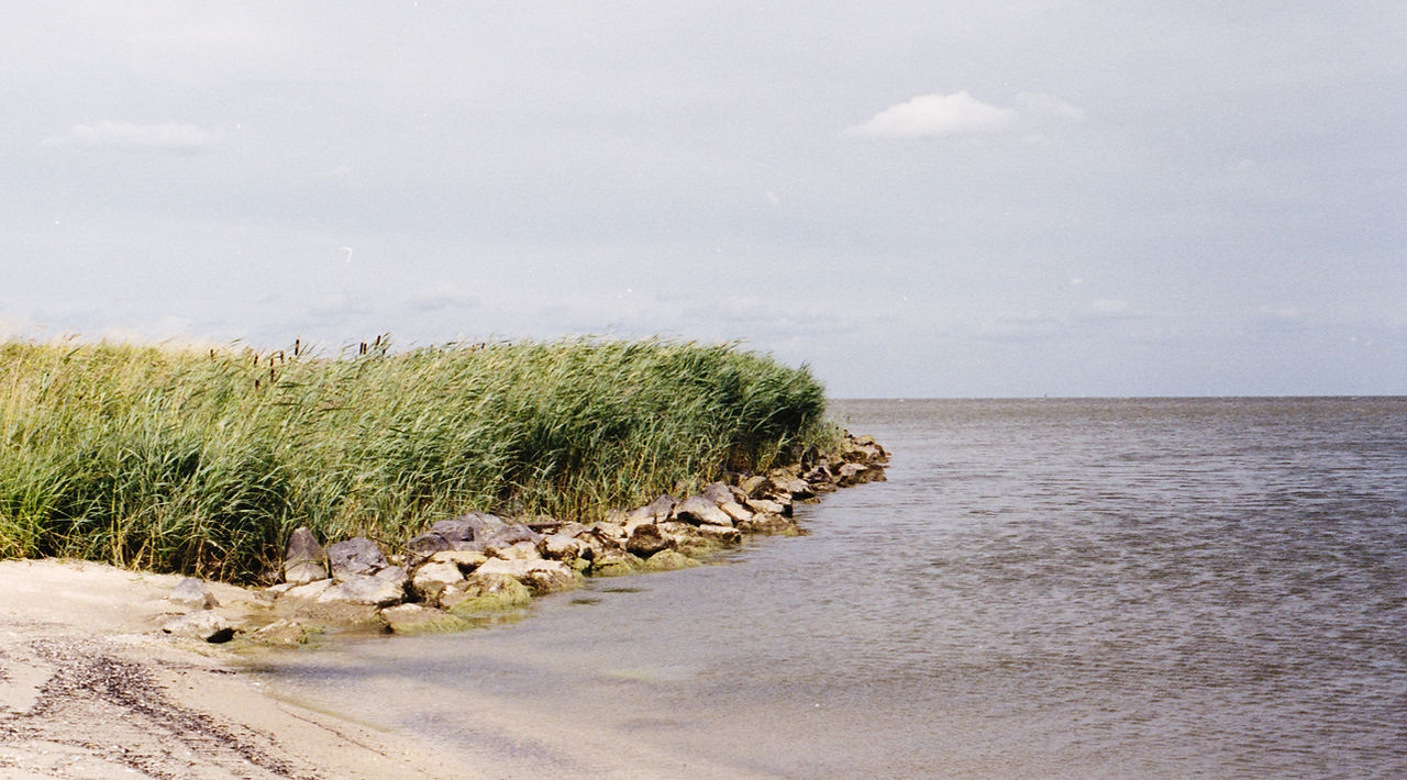 Water