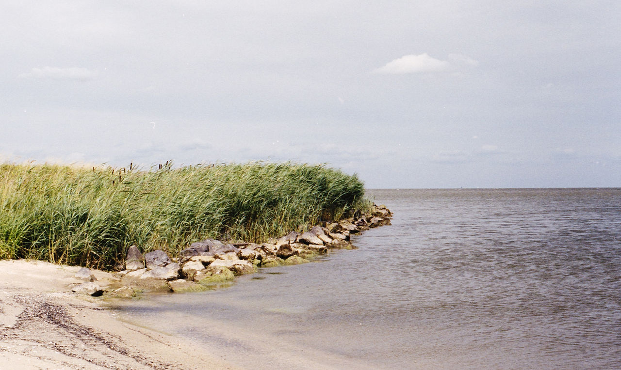 Water