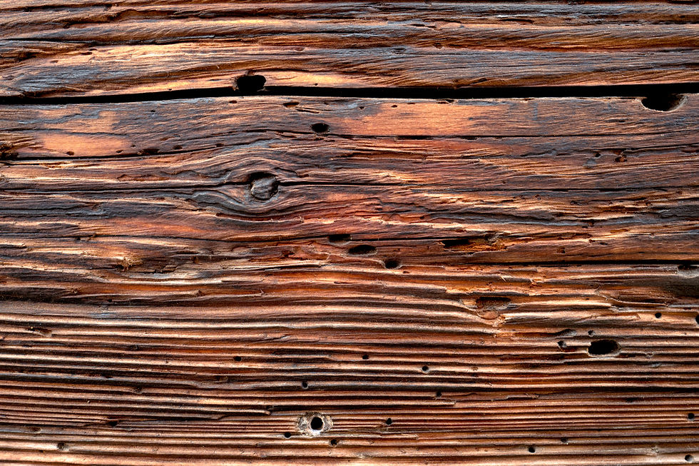 Header Banner Alt Text: Close up texture of weathered dark brown wood grain needing timber treatment