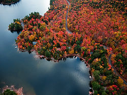 Autumn