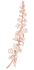 Floral Silhouette Art