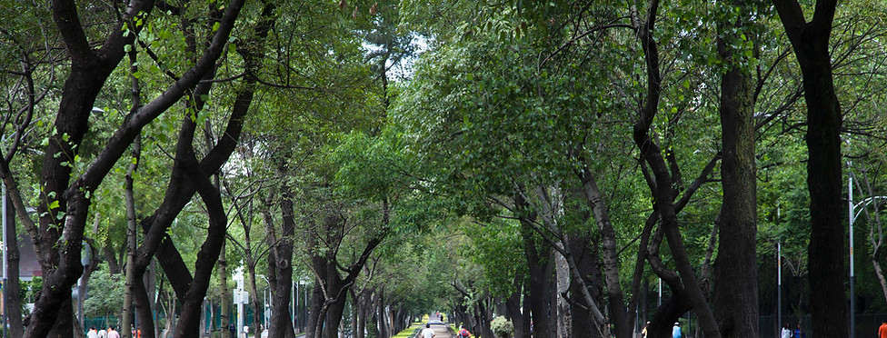 Pintorescas escenas del parque