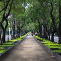 Pintorescas escenas del parque