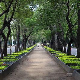 Confronting climate realities with greening urban design Brisbane’s subtropical climate is one of its defining features, shaping its identity and lifestyle. However, the city is increasingly vulnerable to the effects of climate change, particularly prolonged periods of extreme heat. The central business district (CBD), dominated by hard surfaces and dense development, amplifies urban heat island effects, reducing comfort, walkability, and public amenity. As temperatures rise, there is growing recognition that Brisbane must embrace a new approach to urban design—one that integrates vegetation and climate-responsive features across all facets of the built environment. A subtropical urban canopy is no longer a luxury; it is a necessary adaptation strategy to ensure that the city remains liveable, attractive, and economically resilient. Prioritising urban greening in the CBD The city’s core is currently underperforming in terms of vegetation cover and shade. Footpaths, plazas, and civic areas often lack adequate tree canopy, making them uncomfortable and sometimes unsafe during peak summer conditions. Retrofitting these spaces with green infrastructure—trees, planter beds, vertical gardens, and green roofs—must become a priority for council and developers alike. Urban greening initiatives in the CBD can: Lower ambient temperatures and reduce energy costs Improve stormwater management and air quality Support biodiversity in high-density areas Enhance the overall experience of city users—residents, workers, and visitors alike A comprehensive strategy that integrates natural systems into the heart of the city will deliver long-term returns in both environmental and economic terms. Rooftop gardens and vertical greening: building upwards with nature Cities around the world are harnessing under utilised spaces, particularly rooftops and building façades, to expand their urban greenery. Brisbane has significant potential to follow suit. Rooftop gardens offer a practical and visually appealing solution for dense urban areas. These spaces act as natural insulators, reducing the energy required to cool buildings and supporting stormwater retention. They also provide valuable habitat for urban flora and fauna. Beyond environmental benefits, rooftop gardens can be designed as recreational or communal spaces—adding liveability and value to both commercial and residential developments. Vertical greening —including green walls, living façades, and vertical farming—provides additional opportunities to introduce vegetation into constrained urban settings. These systems can: Contribute to thermal regulation Reduce noise and air pollution Increase building energy efficiency Offer localised food production in some cases (e.g., vertical agriculture) Incorporating vertical greening as a standard element of design, especially for high-rise developments in the CBD, would signal Brisbane’s commitment to sustainable, climate-conscious growth. Shade structures: bridging the comfort gap Although Brisbane has ambitious objectives in its “Walkable Brisbane” strategy, current infrastructure does not adequately support pedestrian comfort during warmer months. Key pedestrian corridors and public transport interchanges are exposed, limiting usage and decreasing accessibility for vulnerable groups. Investment in well-designed shade structures—particularly on bridges, walkways, and civic plazas—should be accelerated. Projects such as the proposed shading of Victoria Bridge must be prioritised and insulated from future budgetary cuts. Shade provision is not merely a matter of amenity; it is central to safety, health, and the functionality of the active transport network. Shade structures can also serve as architectural features, enhancing Brisbane’s visual identity and encouraging foot traffic in the CBD. Functional awnings and public realm standards Awnings are a common feature in Brisbane’s commercial architecture, yet many are constructed from transparent or heat-trapping materials such as glass or acrylic. These materials provide minimal thermal protection and may exacerbate heat exposure at street level. Regulatory reforms should encourage, or where appropriate require, the use of opaque, heat-reflective materials in new awning construction. In parallel, public realm design guidelines should prioritise deep overhangs, recessed entries, and integrated shade landscaping to create a more comfortable pedestrian environment throughout the year. Community gardens and local greening initiatives At the neighbourhood level, community gardens play a crucial role in fostering social connection and supporting urban resilience. These spaces offer residents the opportunity to participate in greening efforts, grow food, and share knowledge. In doing so, they support not only environmental objectives but also community well-being and cohesion. Integrating community-managed green spaces into the CBD and surrounding suburbs would support broader public participation in Brisbane’s sustainability goals. Such initiatives could be modelled on successful international examples—such as Bangkok’s Bang Kachao, a peri-urban green space near the Thai capital that combines small-scale agriculture, cycling infrastructure, and environmental education in a cohesive urban conservation effort. Green building design and sustainable construction Brisbane’s development pipeline must align with sustainability and climate adaptation goals. Incorporating green building features—including solar panels, passive ventilation, recycled construction materials, and green roofs or walls—should become the norm rather than the exception. New buildings should meet stringent environmental performance standards, and existing assets should be retrofitted where feasible. Developers, planners, and architects all have a role to play in ensuring Brisbane’s skyline evolves in a way that supports liveability and ecological resilience. Integrated strategies: towards a subtropical urban future Creating a subtropical urban canopy is not simply about planting more trees—it requires an integrated suite of policies, planning mechanisms, and funding priorities. To advance this vision, Brisbane should adopt the following strategic actions: Mandate green infrastructure in all new developments : Include requirements for rooftop gardens, vertical greening, and deep planting zones in the city plan. Retrofit public spaces and pedestrian corridors : Expand street tree planting, introduce shade structures, and install landscaped medians or bioswales where possible. Review and strengthen design standards for shading : Ensure awnings, bus stops, and walkways use materials and forms that provide genuine solar protection. Support community-led greening projects : Provide grants and in-kind support for community gardens, school-based planting initiatives, and urban agriculture pilots. Embed sustainability in building approvals : Encourage or require the use of green walls, energy-efficient design, and stormwater management systems in new developments. Conclusion: leadership through climate-responsive design Brisbane has the opportunity to lead by example—creating a CBD that is both economically competitive and environmentally responsive. By embedding greenery and climate-sensitive design into its urban core, the city can enhance liveability, attract investment, and better safeguard residents against extreme heat. A coordinated effort, supported by policy, community engagement, and cross-sector collaboration, can transform Brisbane from a city of concrete corridors into one that celebrates its subtropical setting—lush, shaded, vibrant, and future-ready. See https://www.georgejamesconsulting.com/ for more.