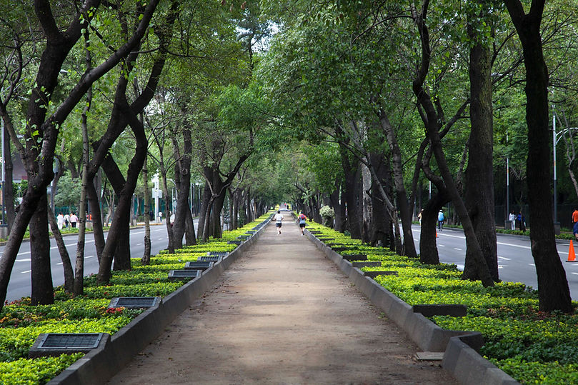 Scene pittoresche del parco