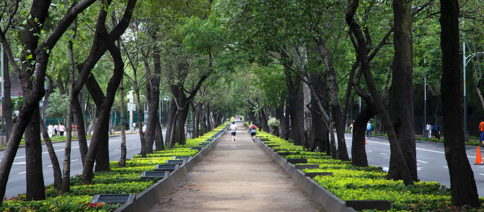¡Un Compromiso Sostenible en Cada Rincón de Pentafon!