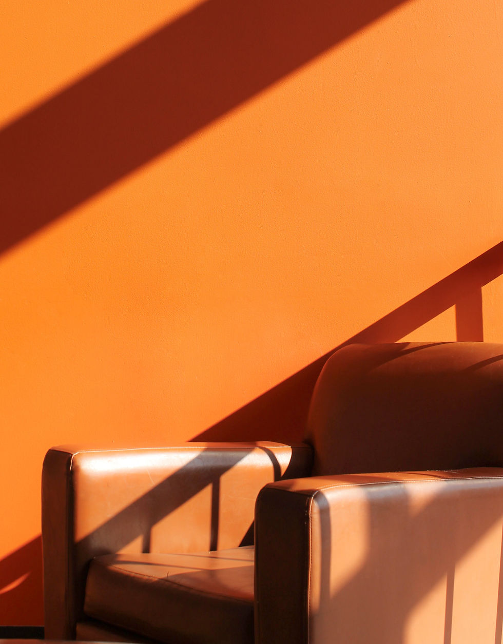 브라운 레더 암체어