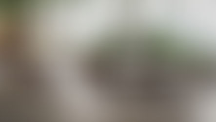 A Prophetic Word For August 2022