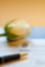 Death Certificate and Rose