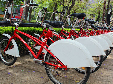 Rental Bikes