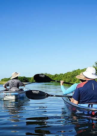 Kayaking Through Nature